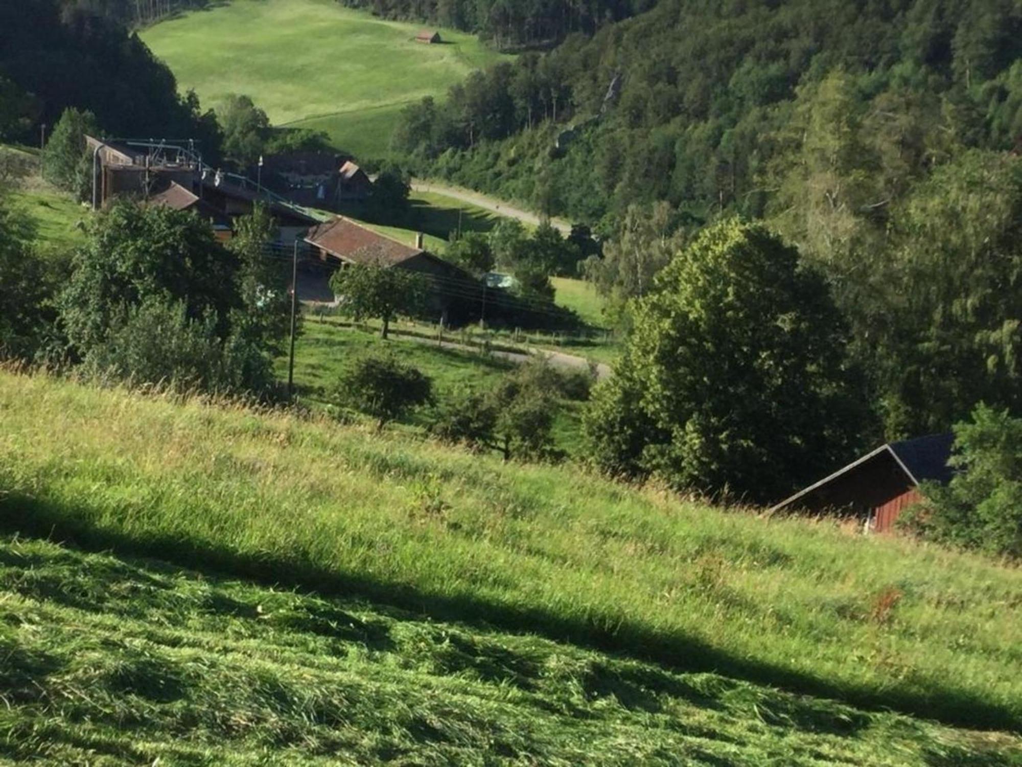 Ferienwohnung Hof Unterer Duerrenberg Langenbruck Exterior foto