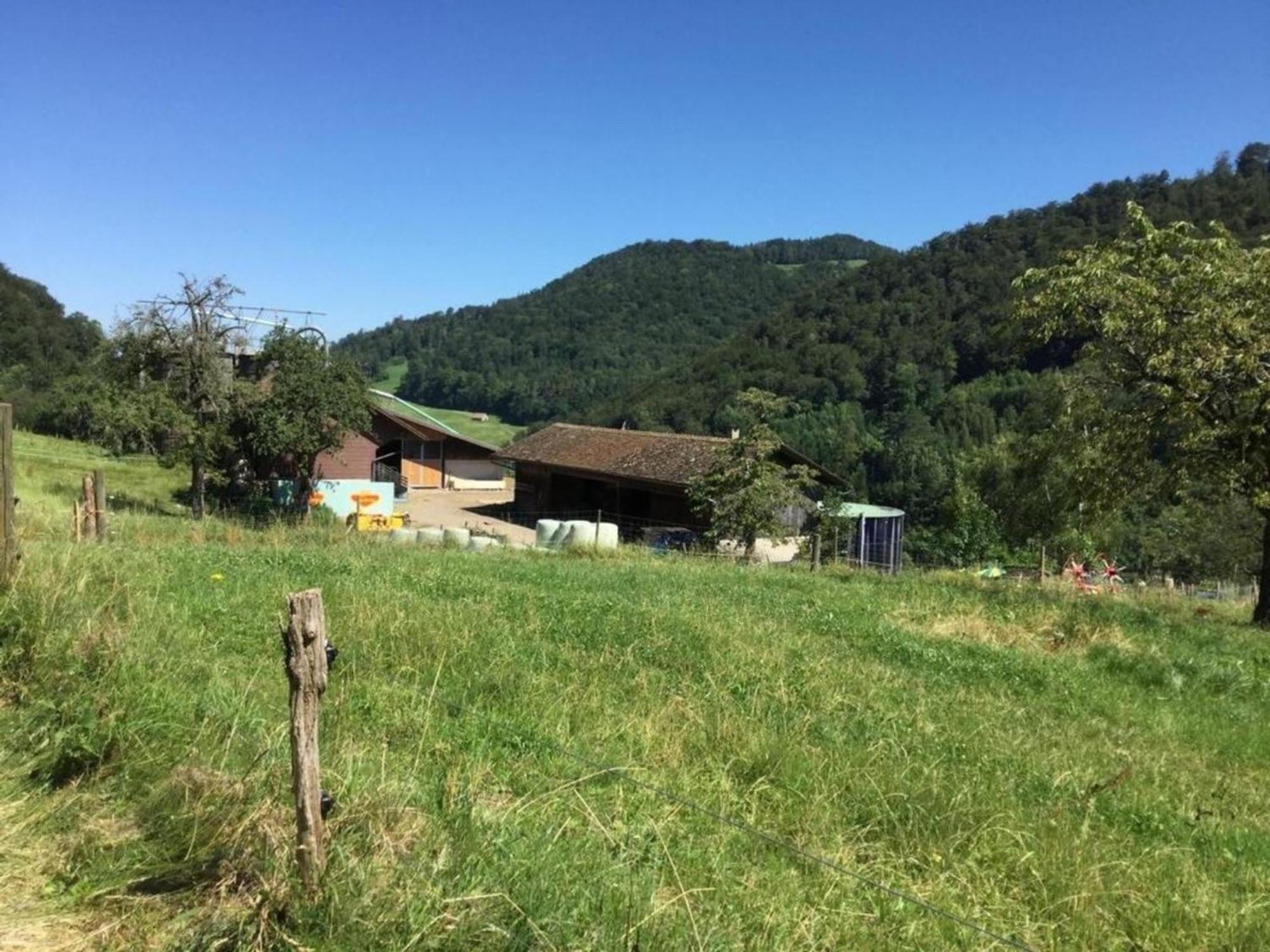 Ferienwohnung Hof Unterer Duerrenberg Langenbruck Exterior foto